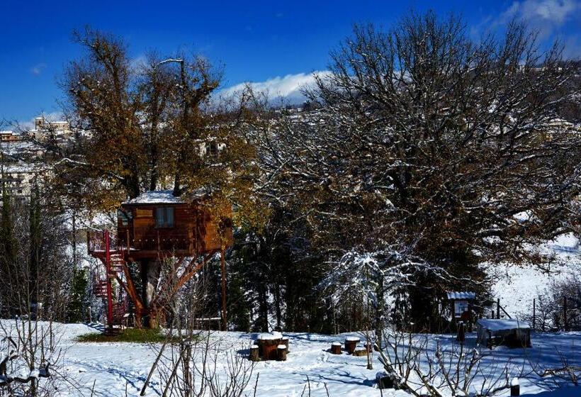 住宿加早餐  Casa Sull Albero Bocchineri