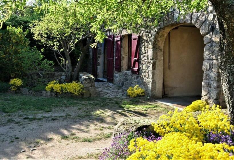 ベッドアンドブレックファースト Chambre D Hôtes De Thorée