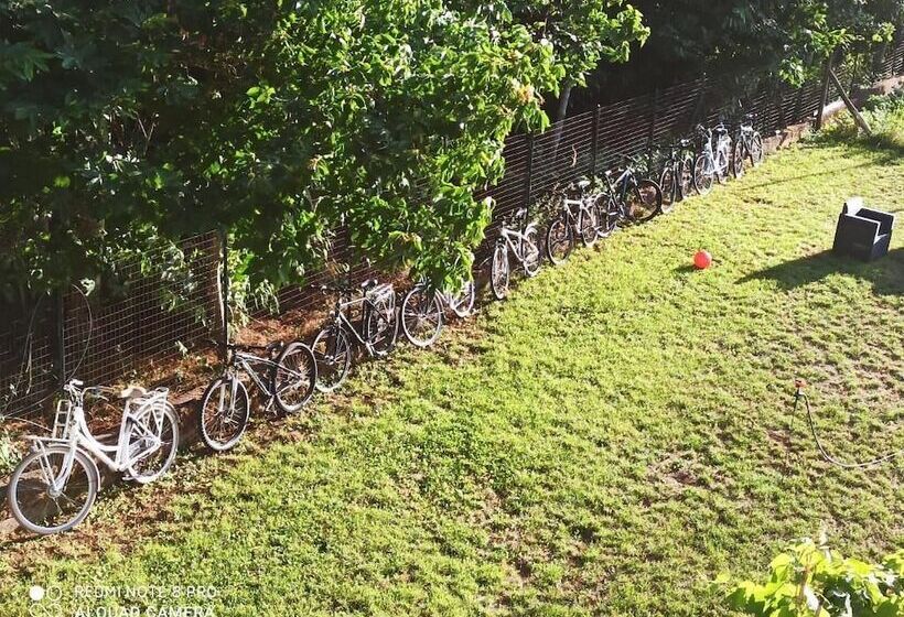 تختخواب و صبحانه Dolcedorme Del Pollino