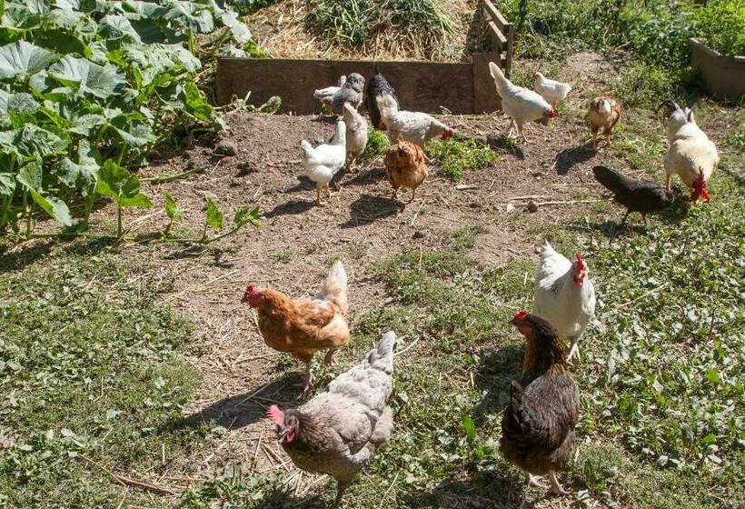 צימר Chambres D Hôtes Domaine Des Iris