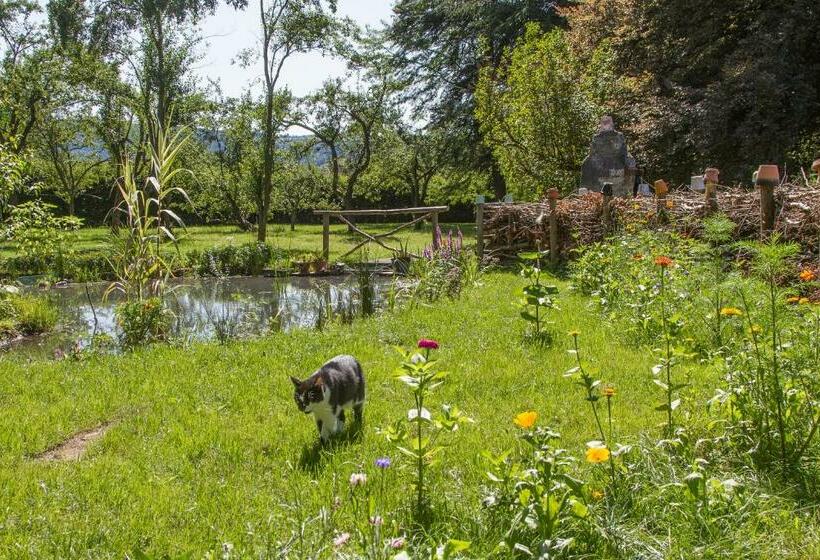 צימר Chambres D Hôtes Domaine Des Iris