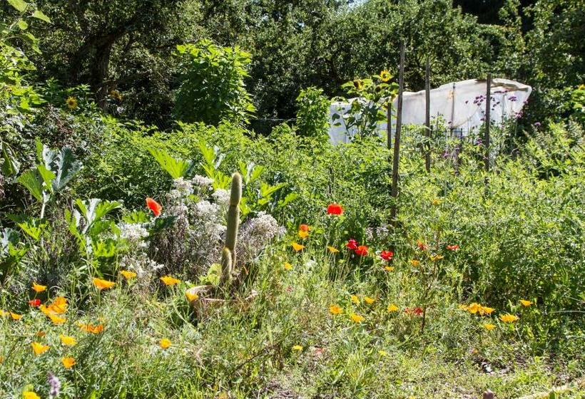 צימר Chambres D Hôtes Domaine Des Iris