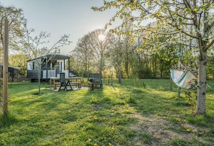 Bed and Breakfast Pipowagen Elsebein Groningen Westerwolde Unieke Ligging Met Eigen Tuin En Vrij Uitzicht Over Veld Na