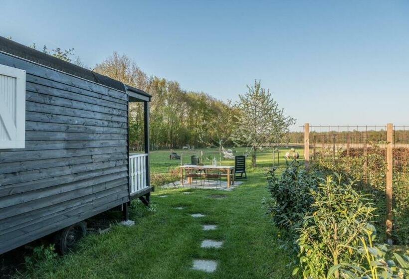 ベッドアンドブレックファースト Pipowagen Elsebein Groningen Westerwolde Unieke Ligging Met Eigen Tuin En Vrij Uitzicht Over Veld Na