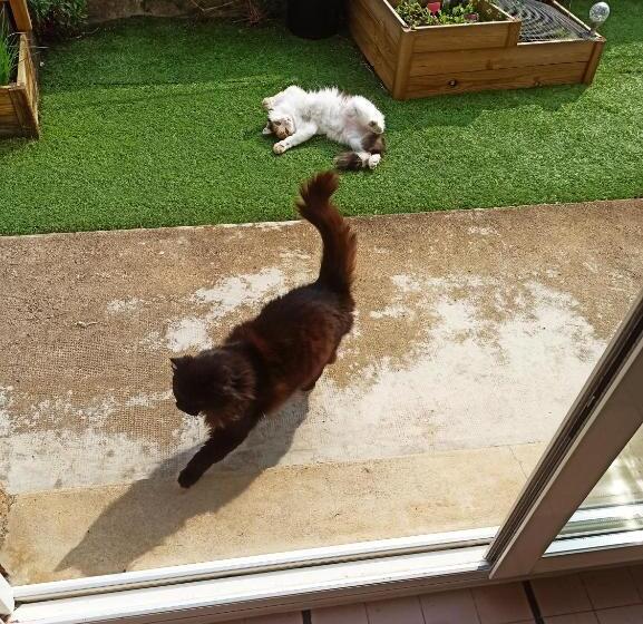 مبيت وإفطار La Maison De Jeanne