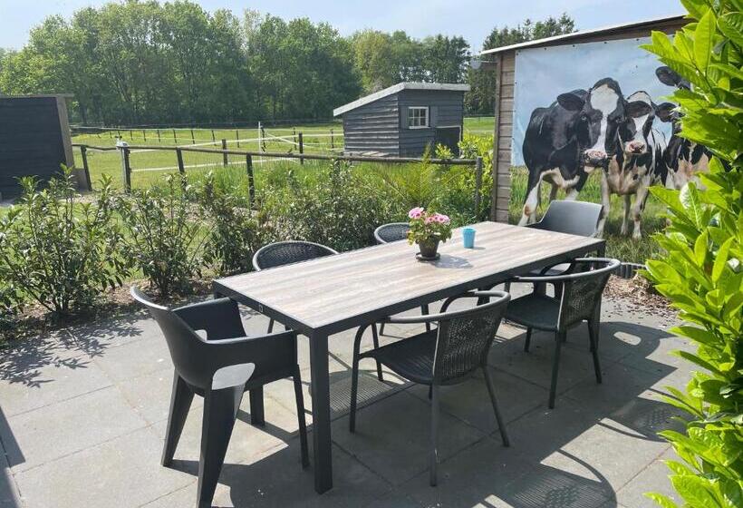 تختخواب و صبحانه Landelijk Hijken