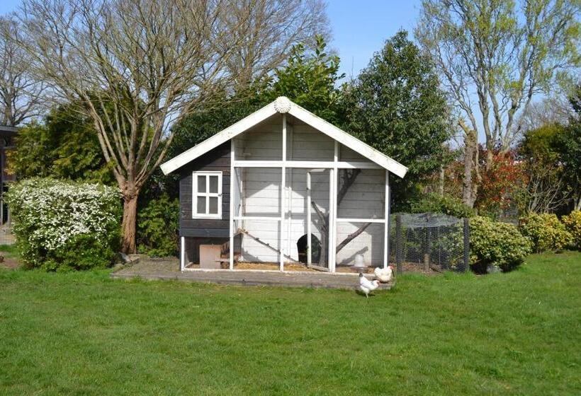 تختخواب و صبحانه Landelijk Hijken