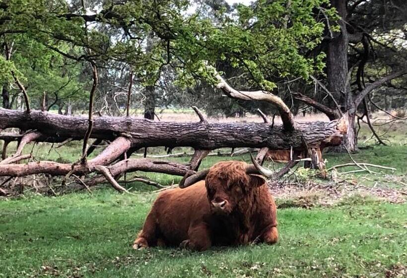 تختخواب و صبحانه Landelijk Hijken