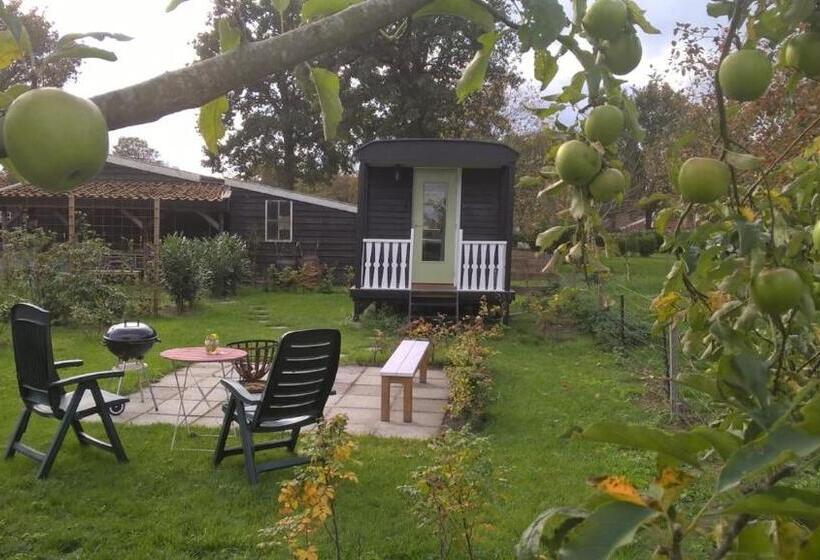 Bed and Breakfast Pipowagen Elsebein Groningen Westerwolde Unieke Ligging Met Eigen Tuin En Vrij Uitzicht Over Veld Na