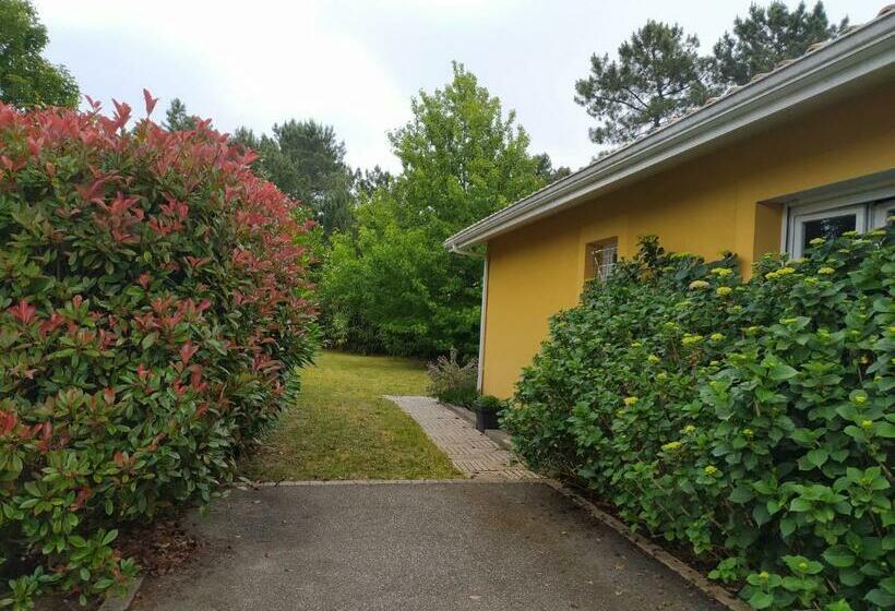 住宿加早餐  Villa Maryne