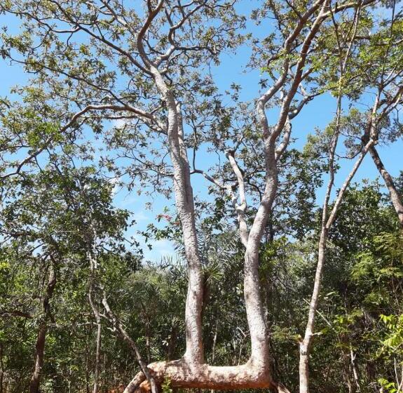 Fazenda Hotel Bem Ecológico