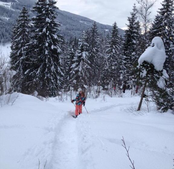 בית מלון כפרי Scharfetthof