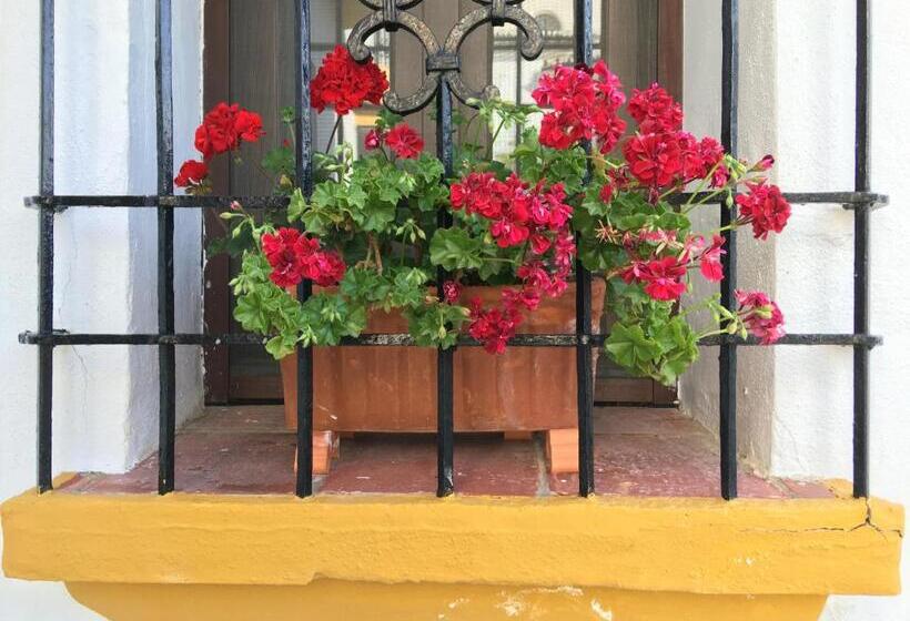 La Escondida Ronda, B&b