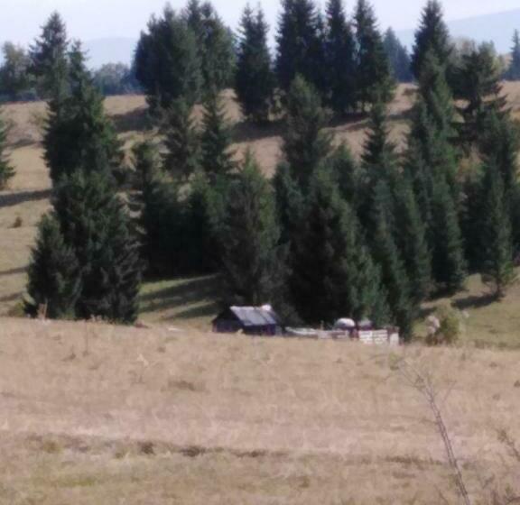 膳宿费 Casa Traditionala Subcetate