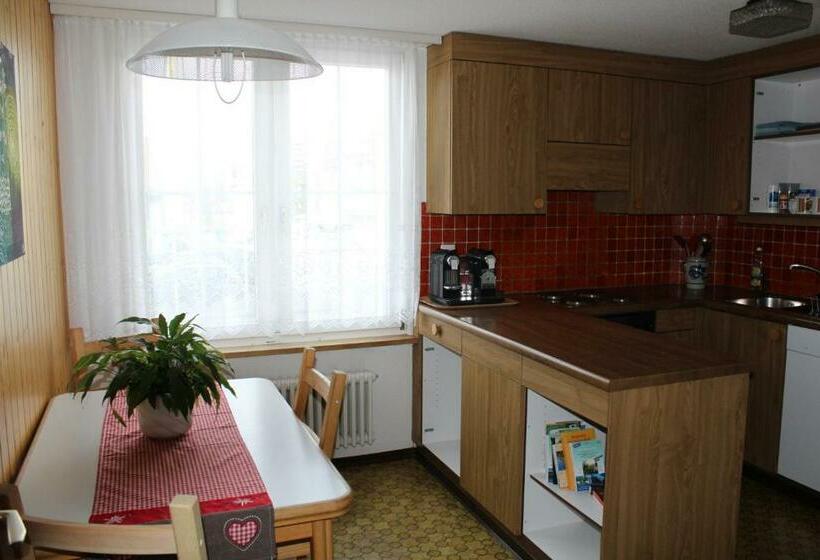 膳宿费 Galluszentrum