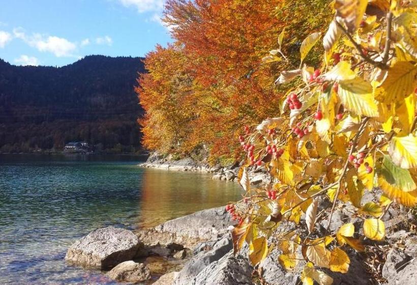 펜션 Ferienwohnungen Berghof