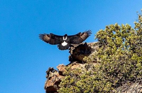 بنسيون Kunje Guesthouse