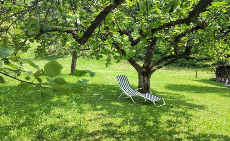 פנסיון Landhaus Beßler