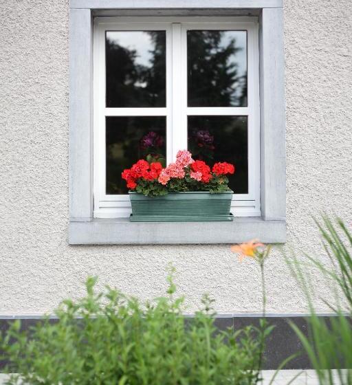 פנסיון Les Sansonnets