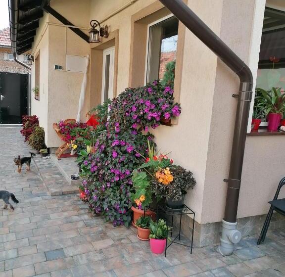 ペンション Rasnov Retreat