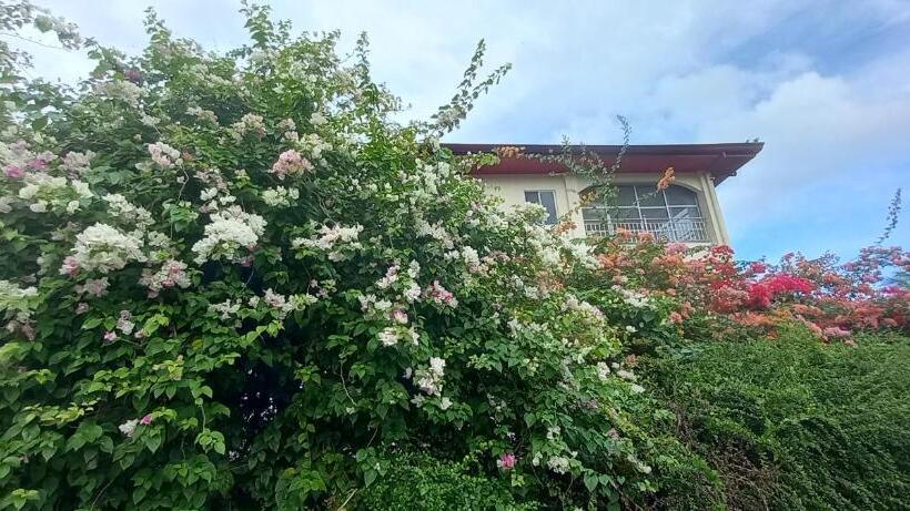 펜션 Soul Travellers Dagatan Castle