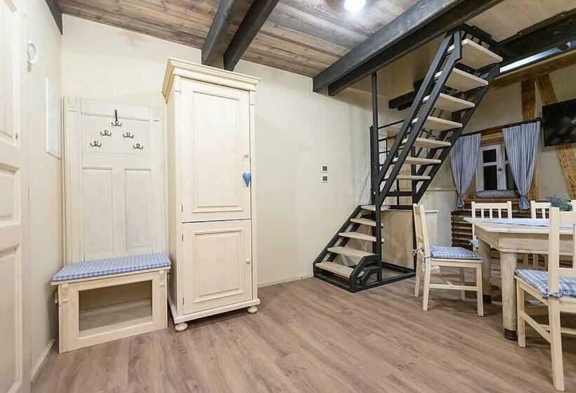 بنسيون Stará škola