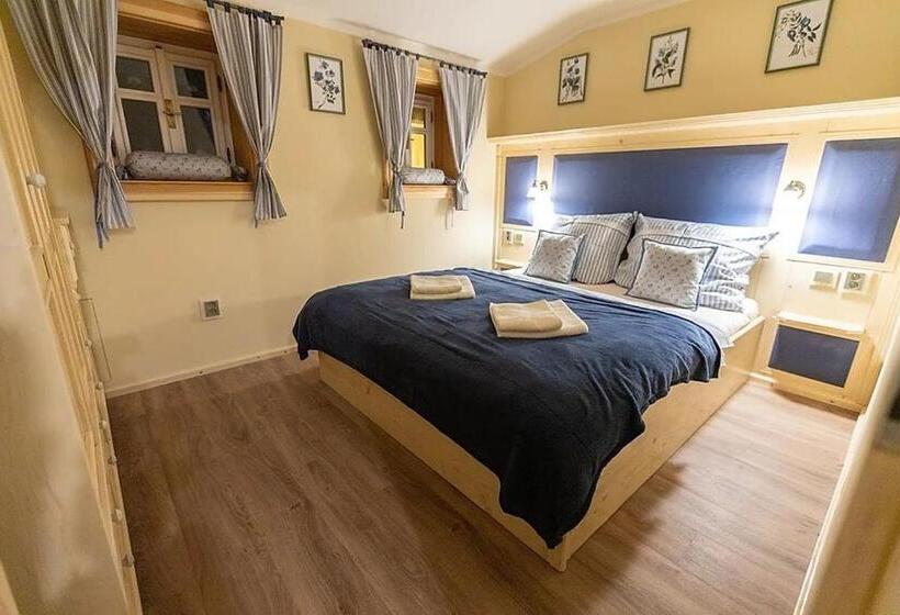 بنسيون Stará škola