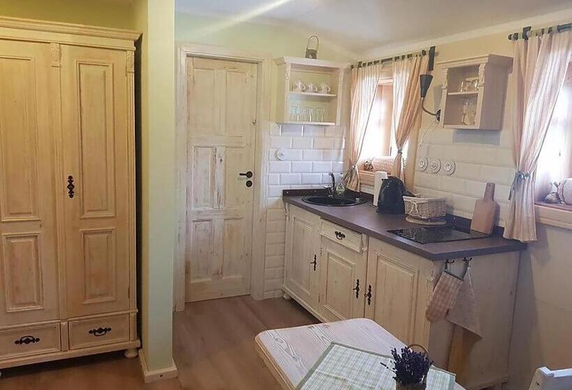 بنسيون Stará škola