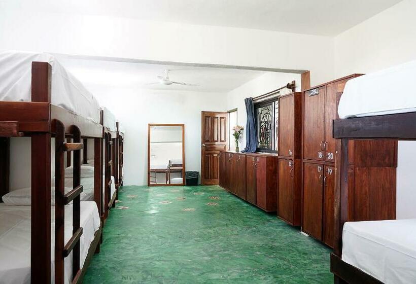 הוסטל Red Panda Hostal