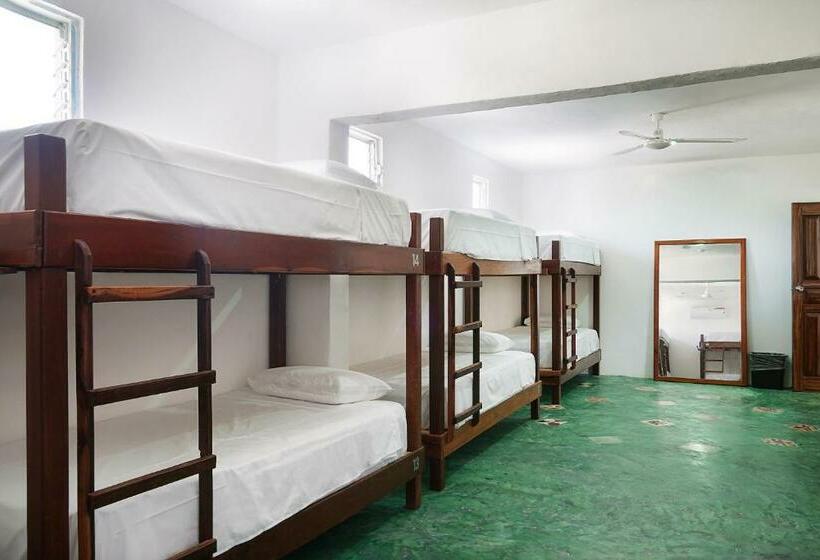 הוסטל Red Panda Hostal