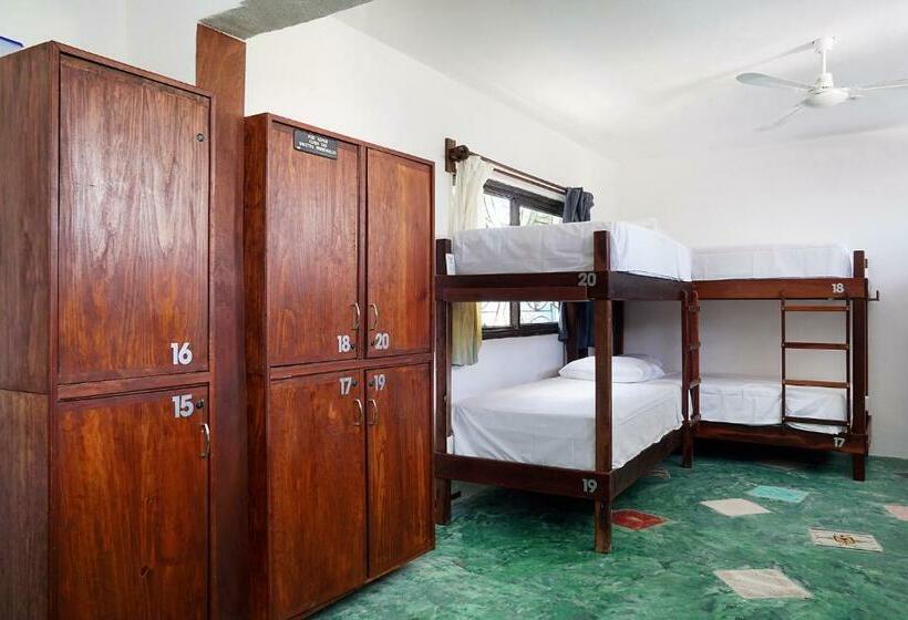 הוסטל Red Panda Hostal