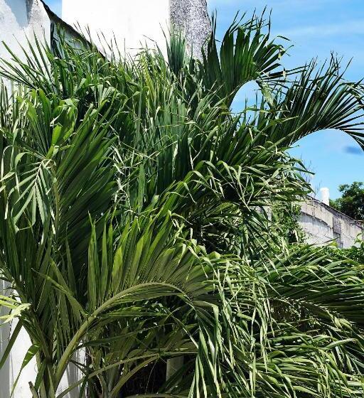 הוסטל Red Panda Hostal