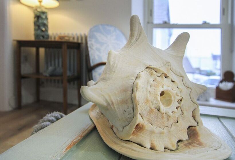 호스텔 Sandy Mount House