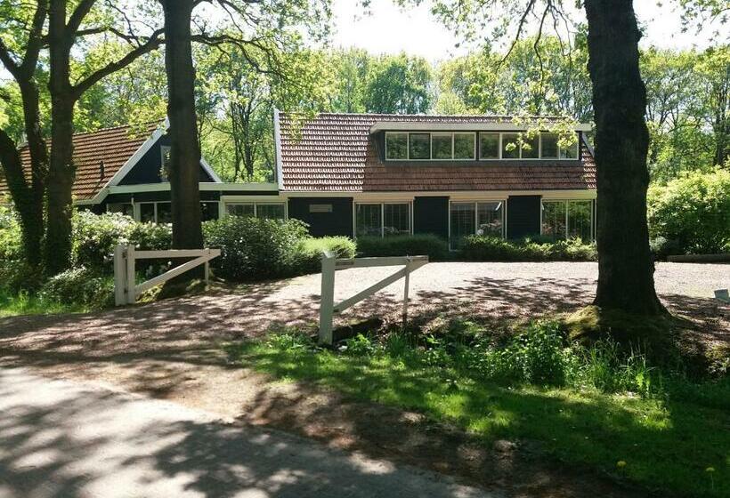 B&b Immer Met Moed