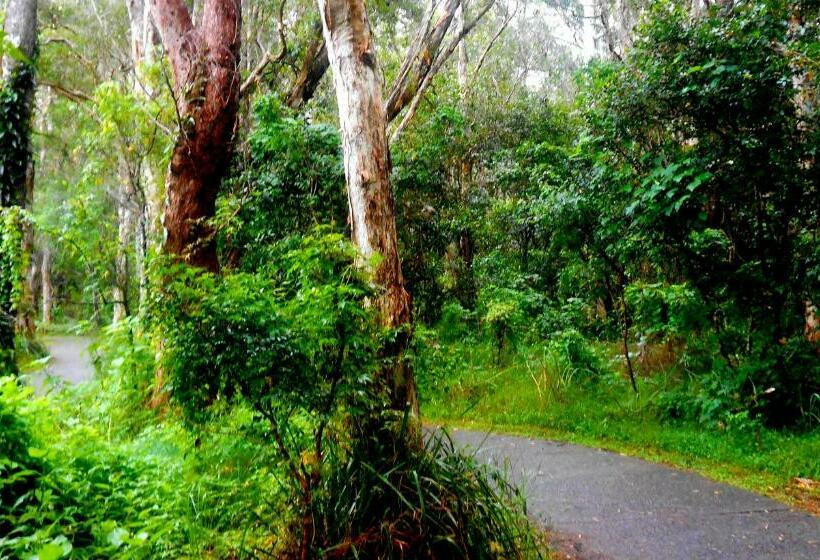 צימר Bella Vista B @ B