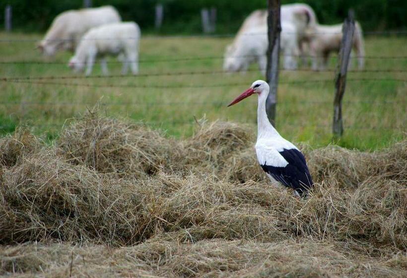 مبيت وإفطار Chambr Im Leh