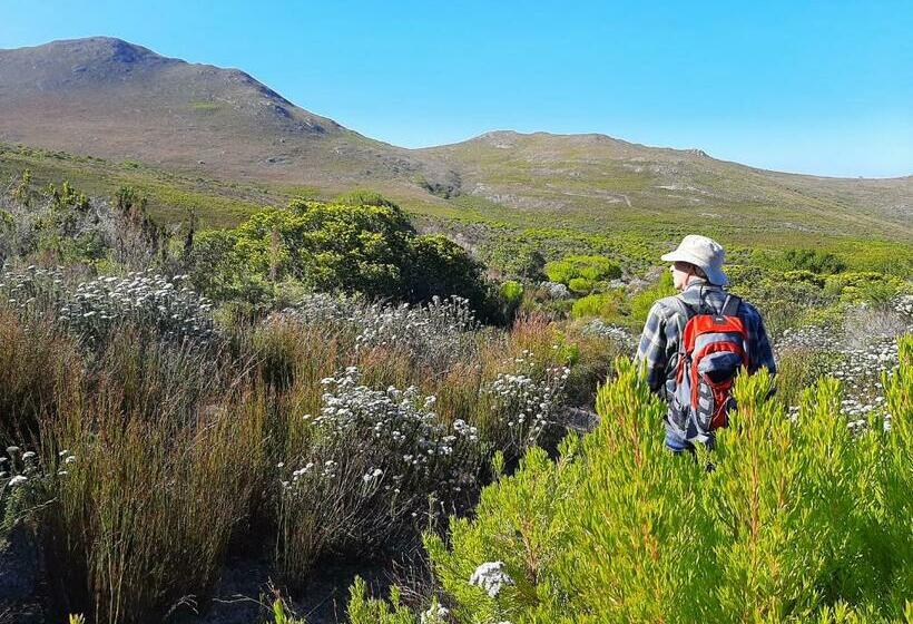 צימר Eirene Place