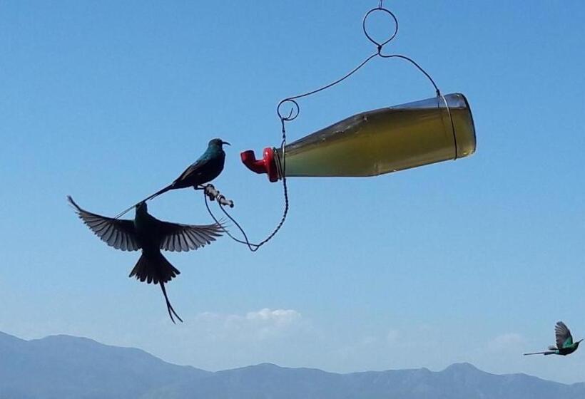 צימר Eirene Place