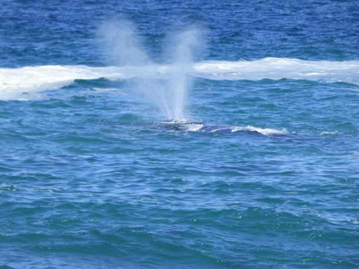 צימר Eirene Place