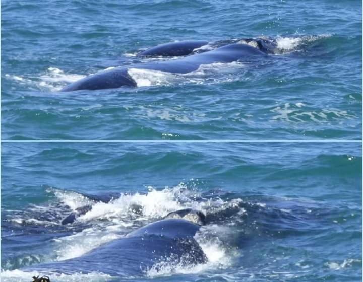 צימר Eirene Place