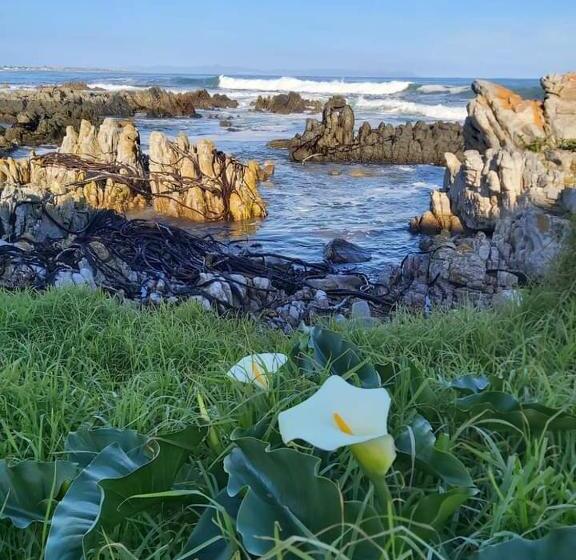 צימר Eirene Place