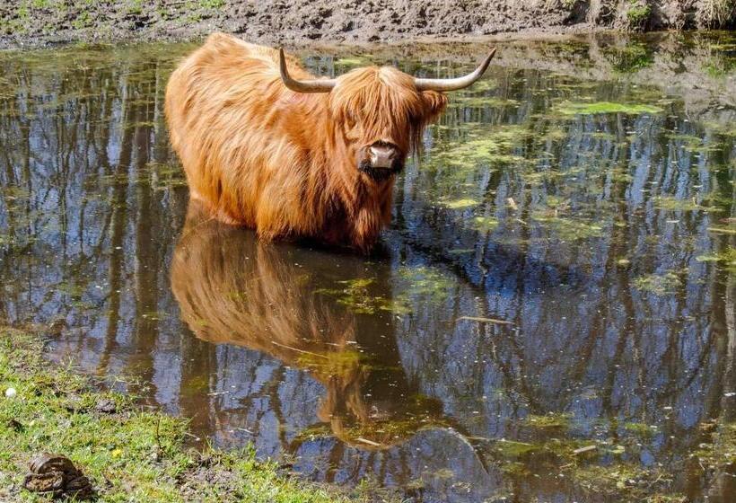 مبيت وإفطار En Suite