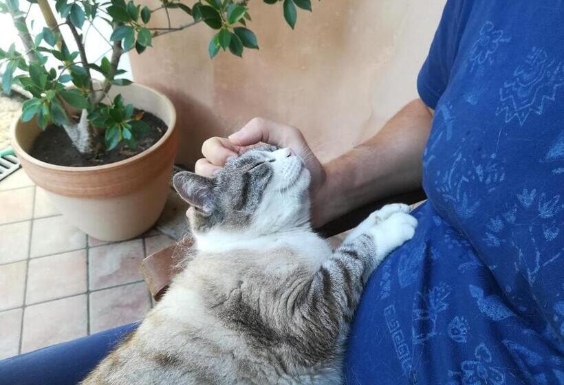 مبيت وإفطار Il Colibrì Bed&breakfast