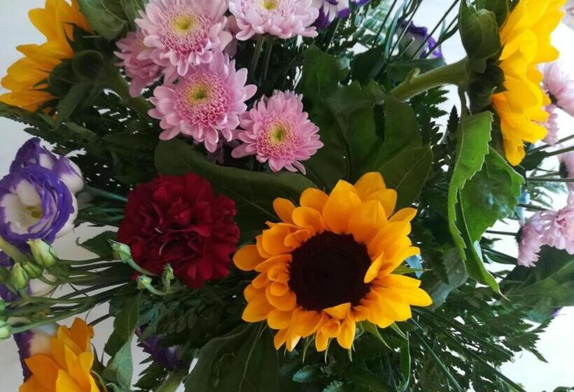 مبيت وإفطار Il Colibrì Bed&breakfast