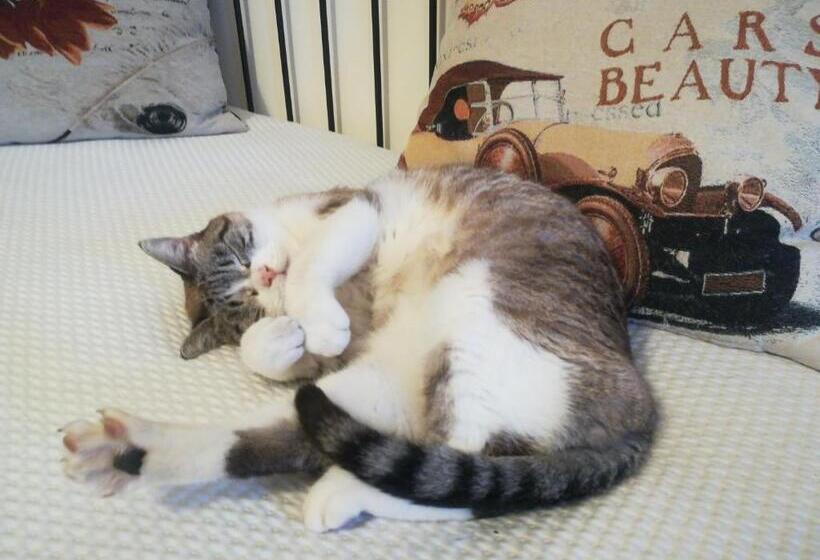 مبيت وإفطار Il Colibrì Bed&breakfast