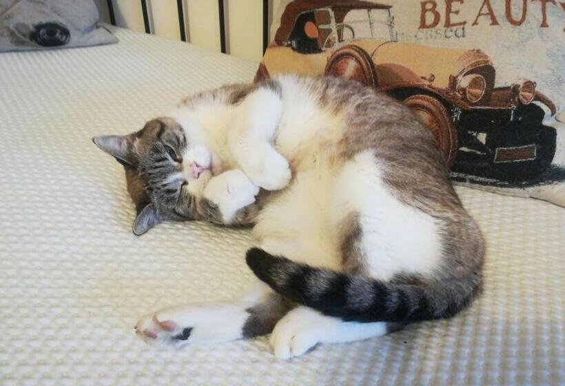 مبيت وإفطار Il Colibrì Bed&breakfast