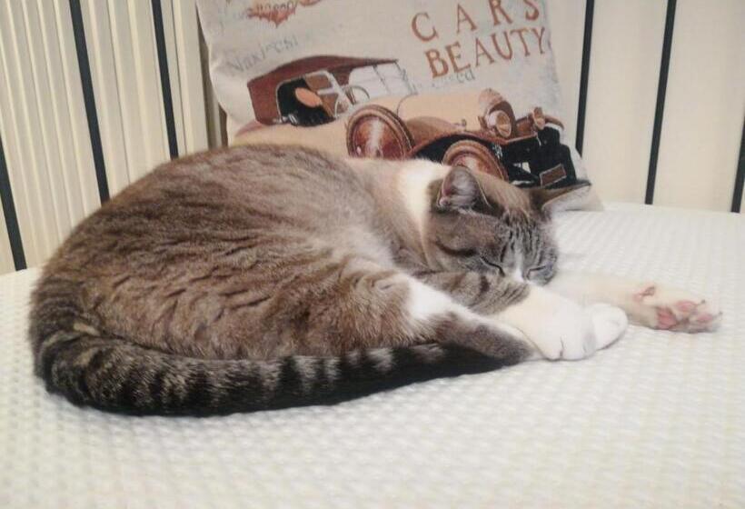 مبيت وإفطار Il Colibrì Bed&breakfast