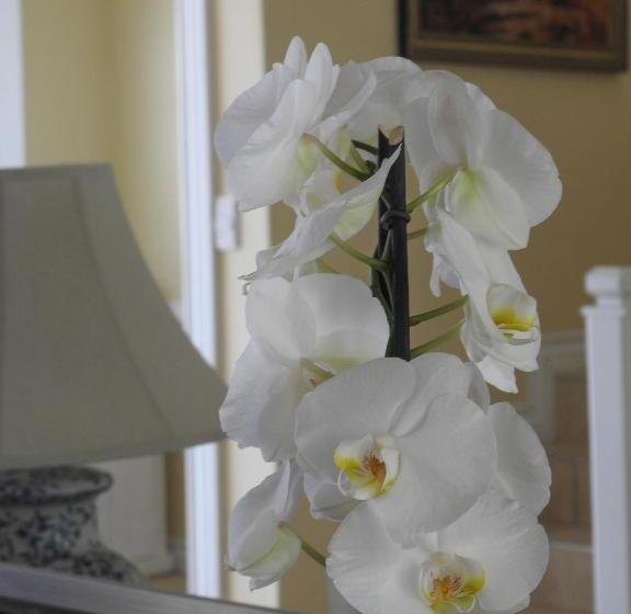 مبيت وإفطار Julsie S Home