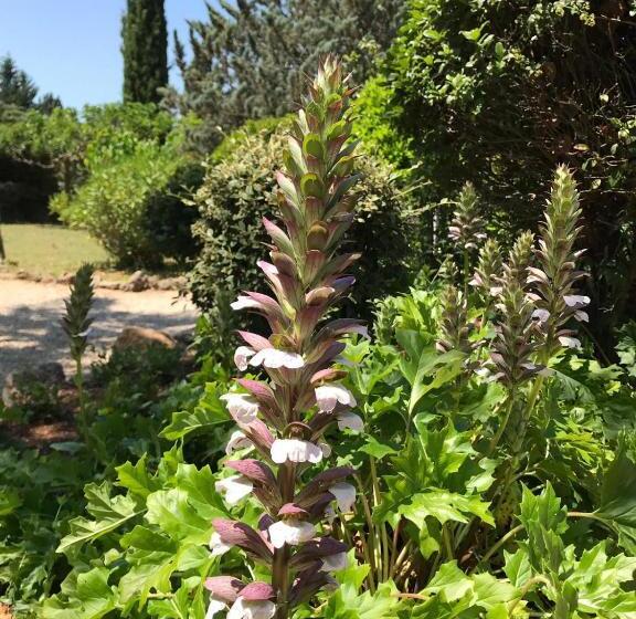 צימר L  Esmerand