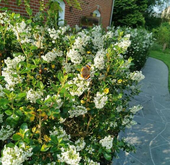 Bed and Breakfast La Riviere Du Bien Etre